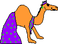 Kamella Camel